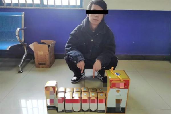 新澳门精准免费大全，一网打尽攻略秘籍