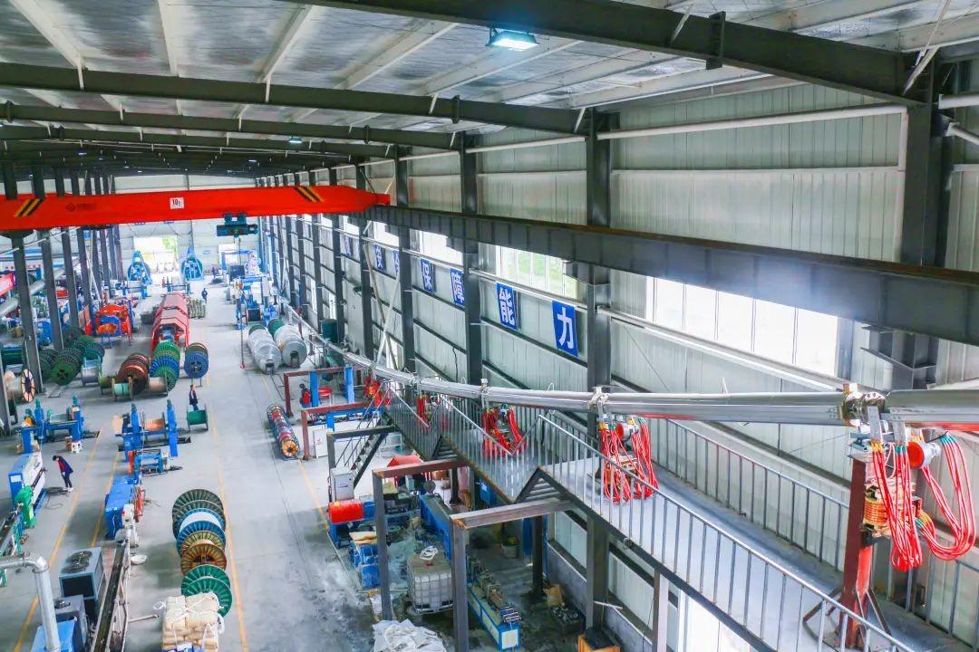 迈向2025，正版资料免费资料大全中的中国特色之路—详细解答、探索与落实