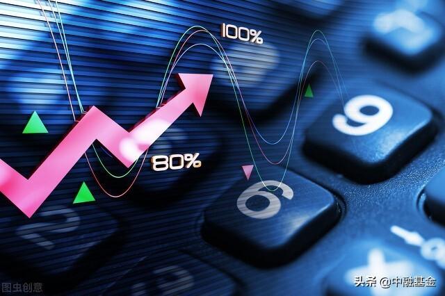 迈向2025年，正版资料免费大全的全面释义、解释与落实策略