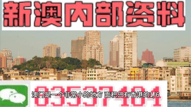 新澳门精准免费大全，一网打尽攻略秘籍