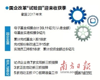 探索未来澳门—全面免费政策的释义、解释与落实展望