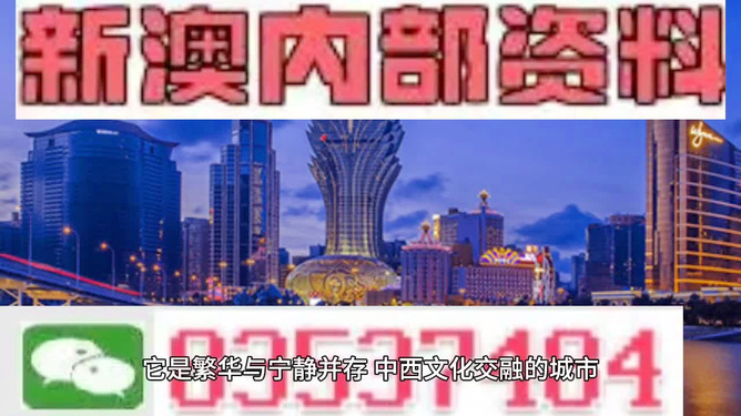探索新澳门，免费资料大全与精选答案的落实之旅（全新版本）