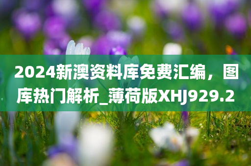 王中王与马头诗的文化传承