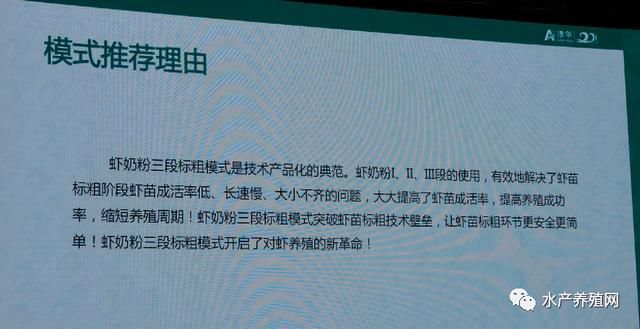 新澳2025资料大全免费，高效回顾方案与经典版探索
