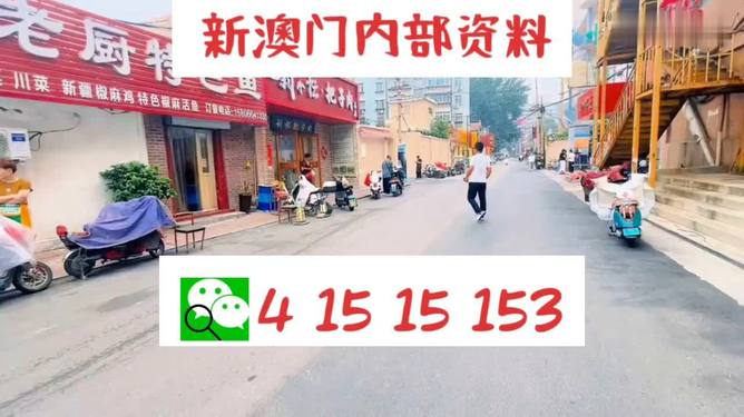 新澳门天天好彩，攻略秘籍与赢翻天策略