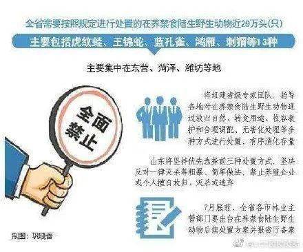警惕虚假宣传，全面解析新澳2025精准正版免费资料真实性