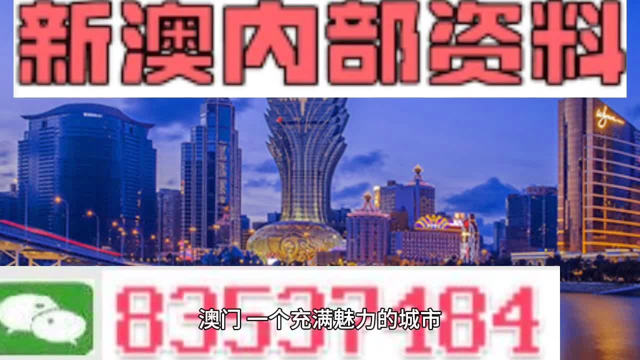探索未来，澳门免费政策全面释义与落实展望