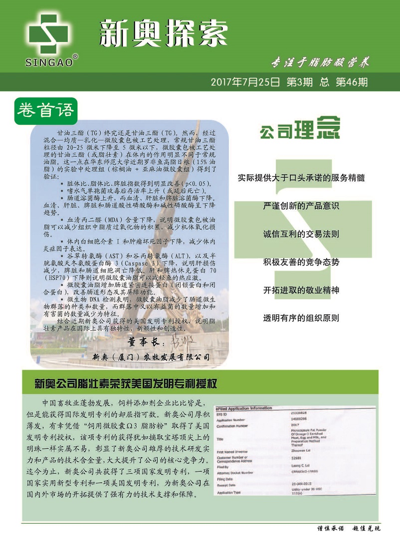 新澳大全2025正版资料，实证释义、解释与落实