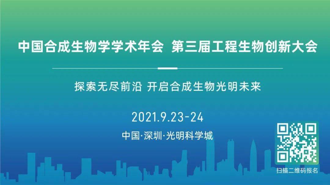 迈向未来，探索2025精准资料免费大全