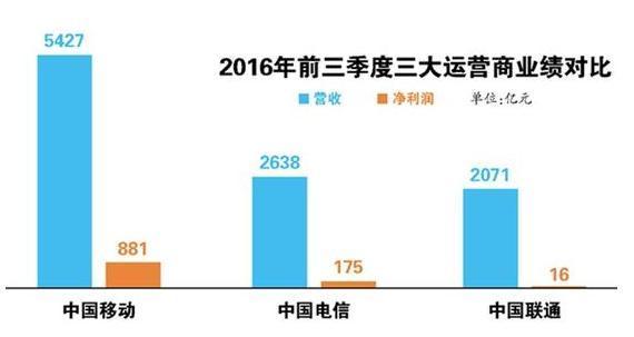 迈向2025，正版资料免费共享与中国特色信息资源的全面实现