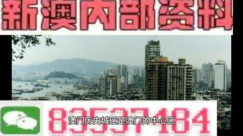 新澳门与香港准确内部免费资料精准大全精选解析、落实与解释