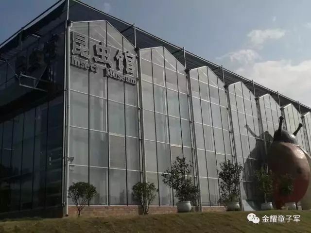 澳门一码一肖一特一中，探寻神秘号码的魅力